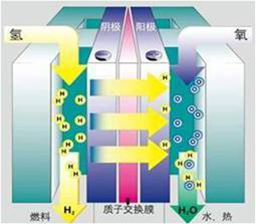 图一:质子交换膜燃料电池示意图
